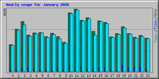 Hourly usage for January 2026