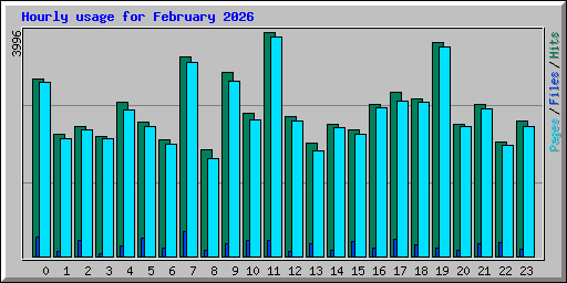 Hourly usage for February 2026