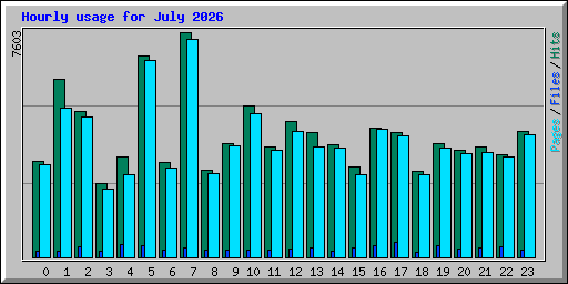 Hourly usage for July 2026